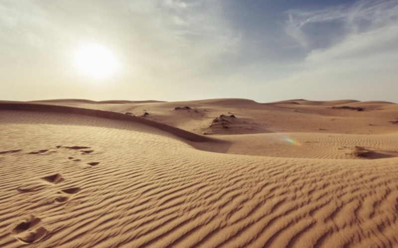 基于多种污染类型的应急饮用水处理集成工艺及系列化装备研发